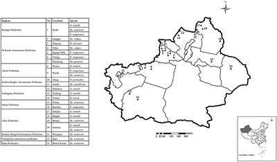 Molecular Evidence of Bartonella melophagi in Ticks in Border Areas of Xinjiang, China